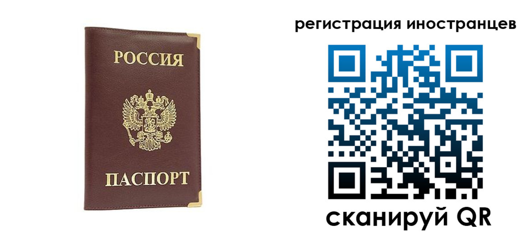 регистрация в Мурманской области