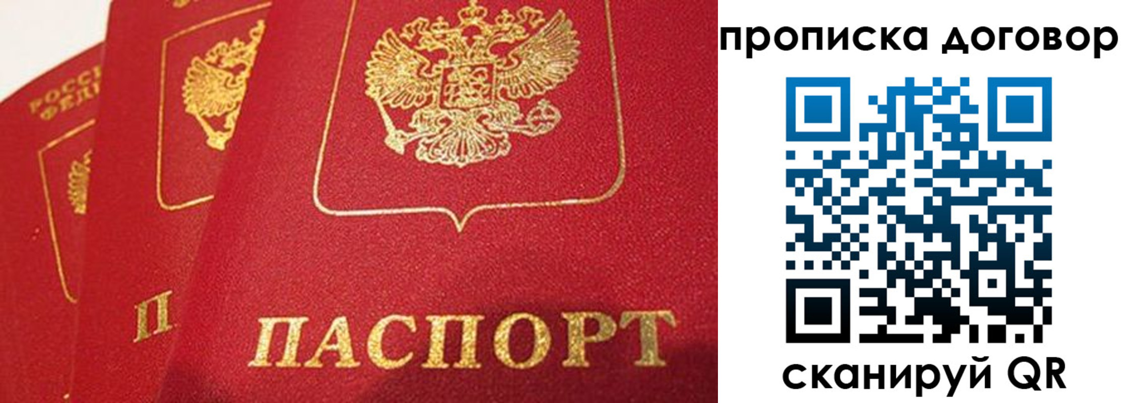 найти адрес прописки в Мурманской области